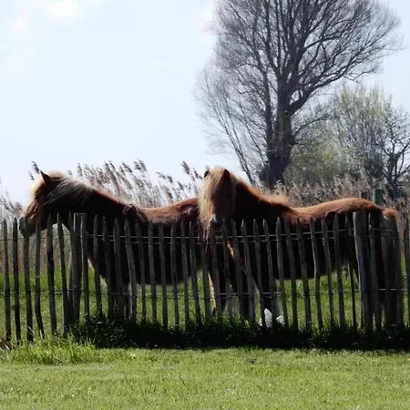 In With Ocean Views, Cleaning Included Nieuwpoort